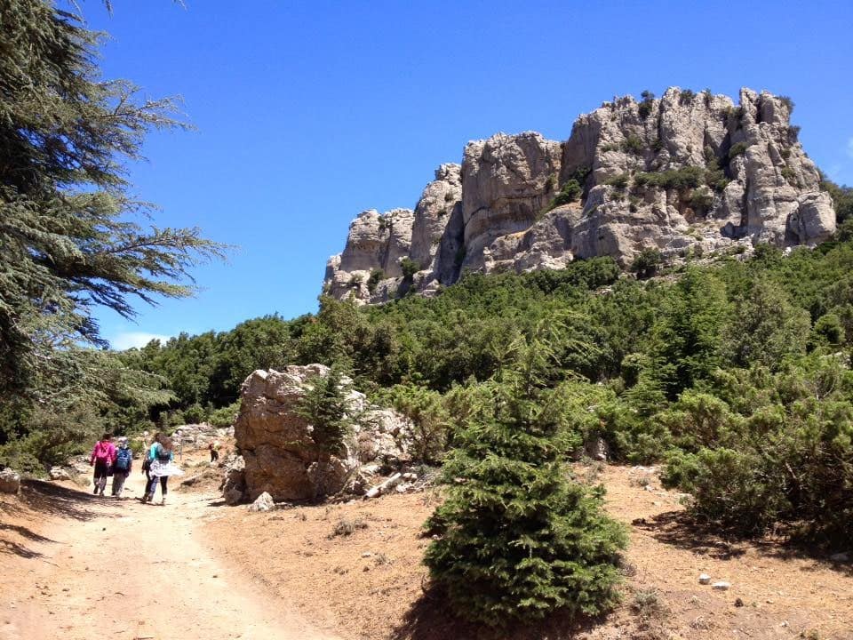 Monte-Novo-San-Giovanni